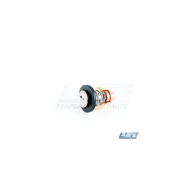 THERMOSTAT: YAMAHA 1050 / 1100 / 1800 06-19