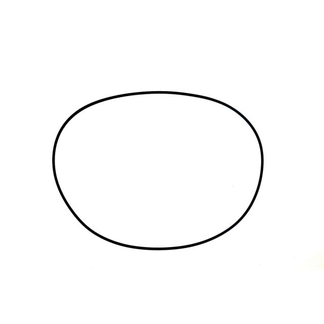GENERATOR COVER O-RING: KAWASAKI 1200 / 1500 03-19