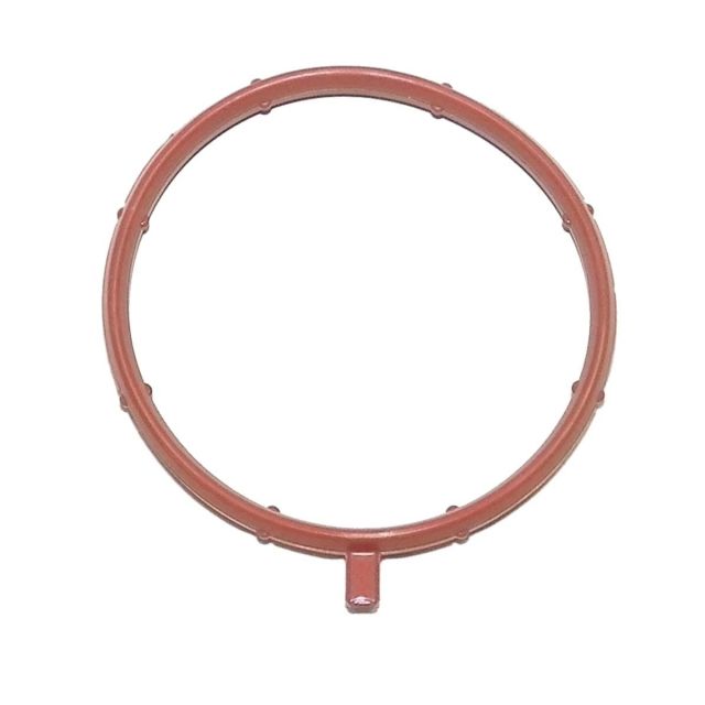 PLENUM O-RING: YAMAHA 1800 13-19