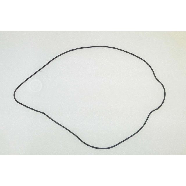 GENERATOR COVER O-RING: YAMAHA 1800 08-19
