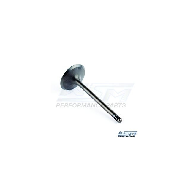 INTAKE VALVE: SEA-DOO 1503 / 1630 4-TEC 02-19