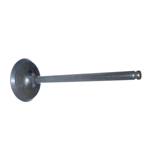 INTAKE VALVE: YAMAHA 1800 08-19