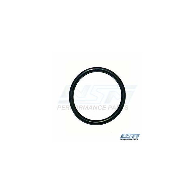 SUPPORT RING O-RING: SEA-DOO 900 / 1503 / 1630 04-19