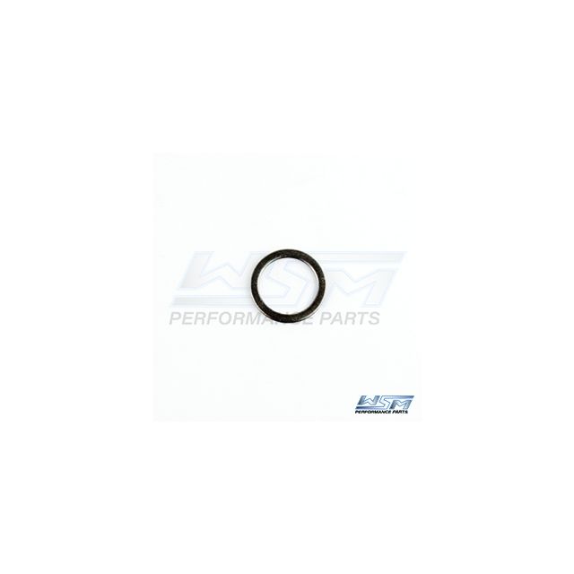 CAM CHAIN PLUG GASKET: SEA-DOO 900 / 1503 / 1630 02-19