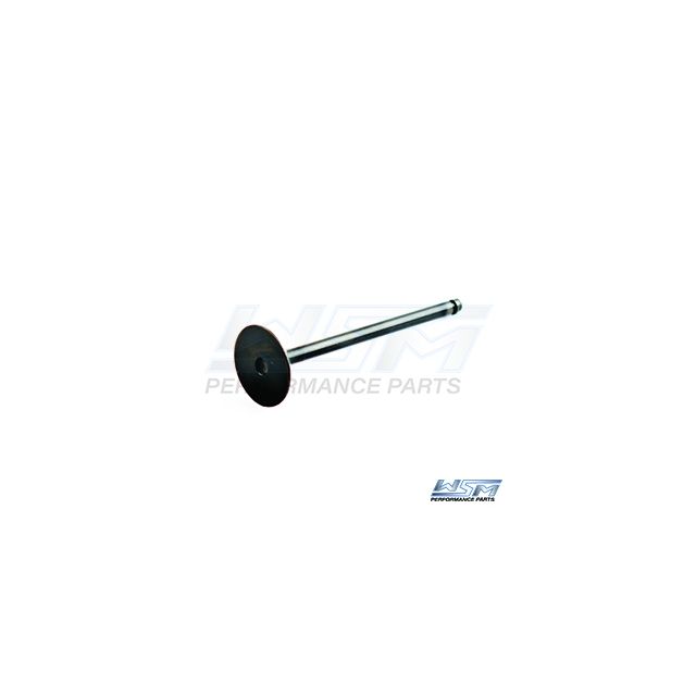 EXHAUST VALVE: SEA-DOO 900 14-19