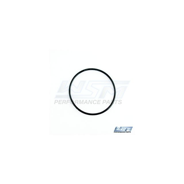 BALANCE SHAFT O-RING: SEA-DOO 800 / 951 95-07