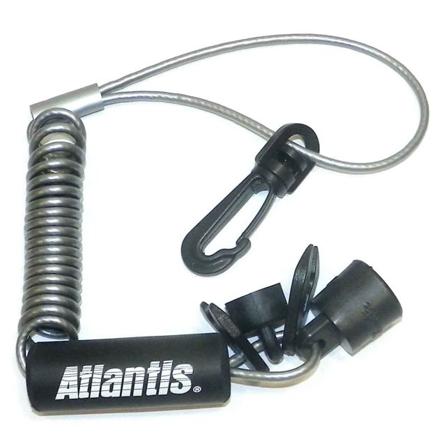 LANYARD, STANDARD: DESS - SILVER